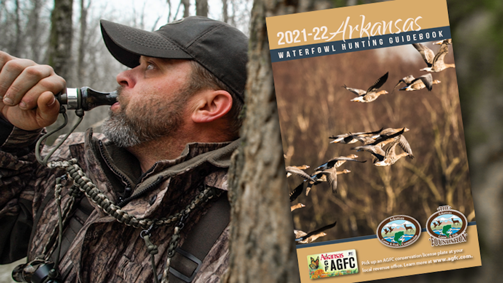 Waterfowl guidebook available online