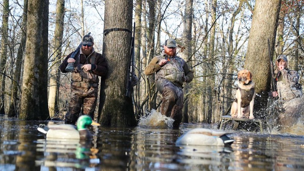 Meetings scheduled to provide details on duck season water level and forest management changes