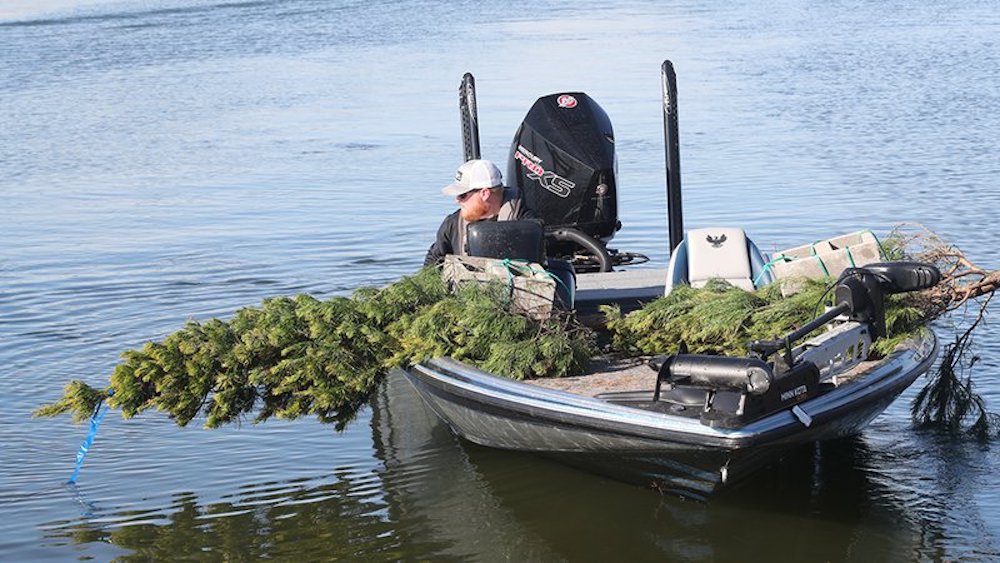 Donate your Christmas tree to boost angling action