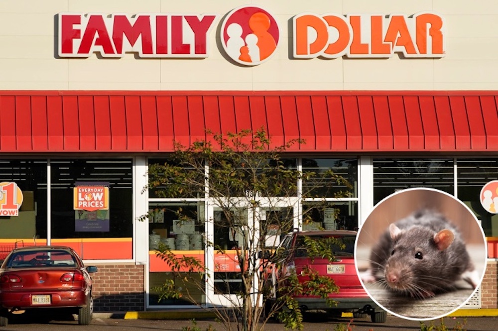 Over 20 South Arkansas Family Dollar stores closed after FDA investigation finds live and dead rodents and more at West Memphis distribution facility