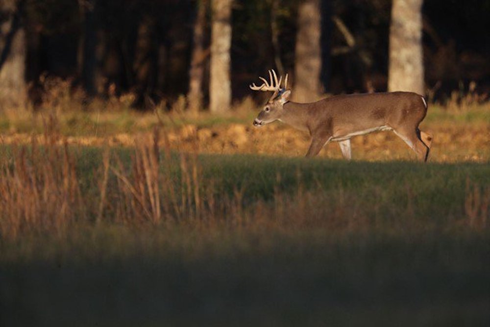 Comment on proposals for the 2022-23 and 2023-24 hunting and fishing seasons