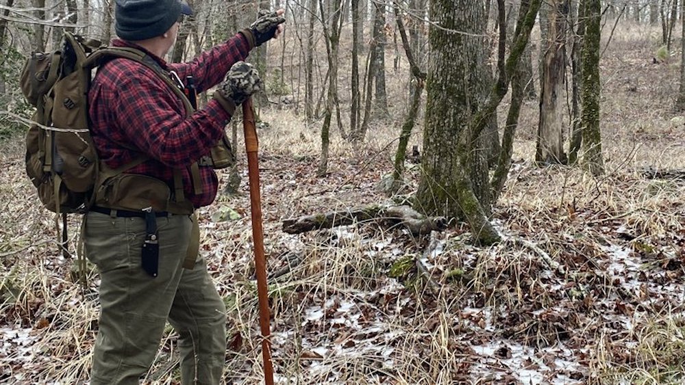 Shed hunting: Wandering in the woods with purpose