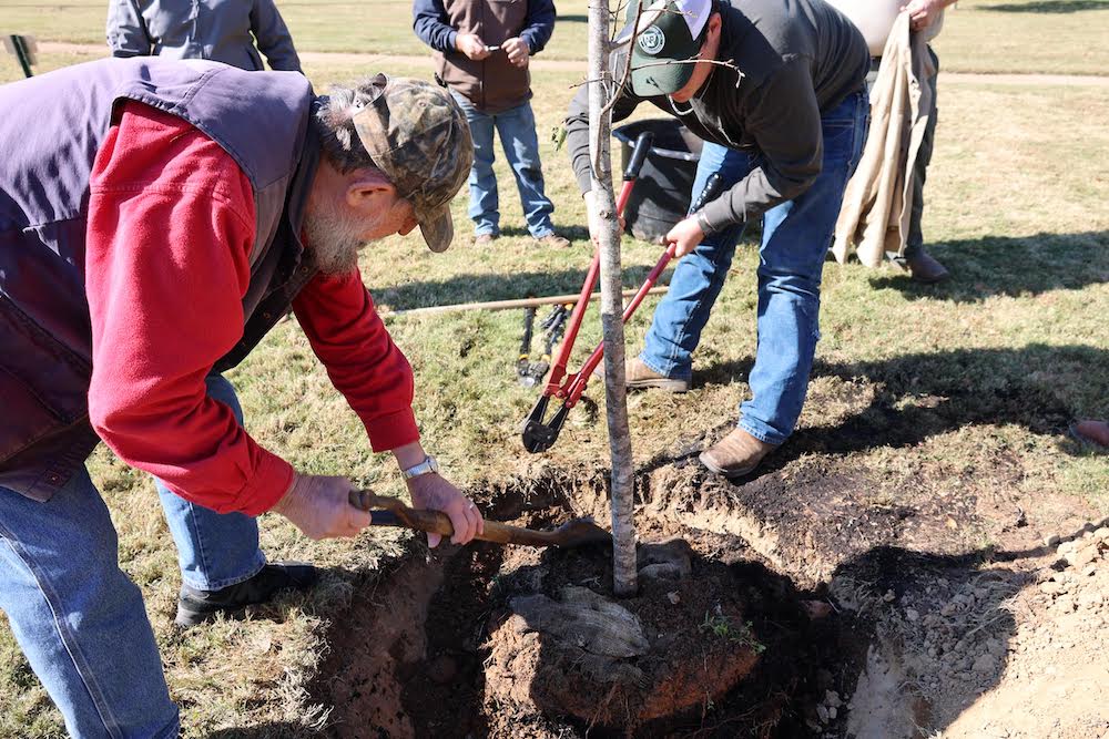UAM To Host Tree Dedication and Educational Program for Arbor Day