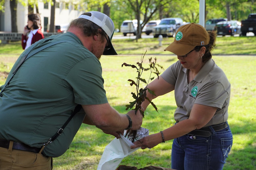 17,800 trees given away during Arkansas Department of Agriculture “Free Tree Fridays” campaign