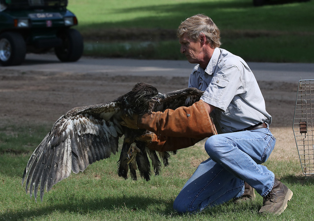 Rescheduled wildlife rehabilitation workshop in Northwest Arkansas
