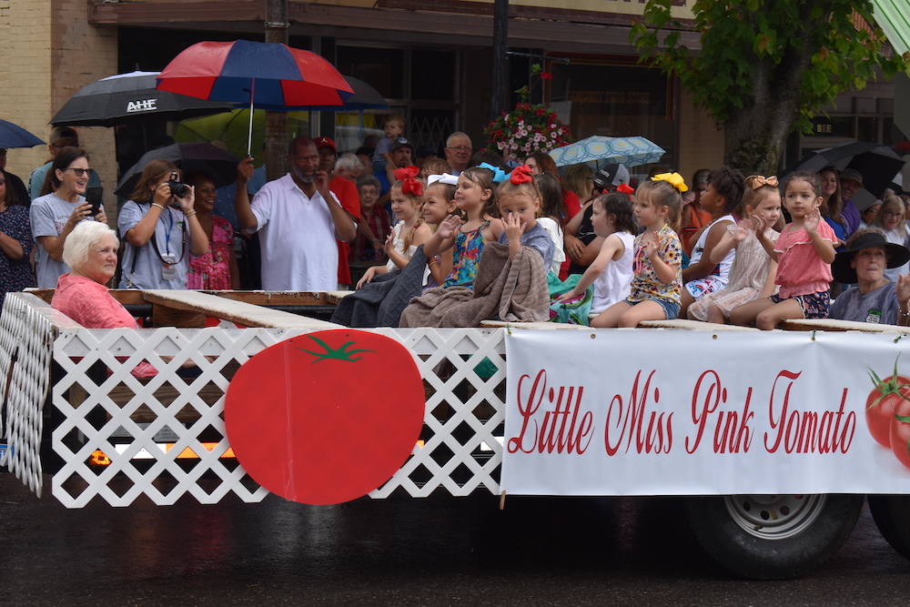 Pink Tomato Festival Parade better than ever(Photo Special-Over 80 Photos)