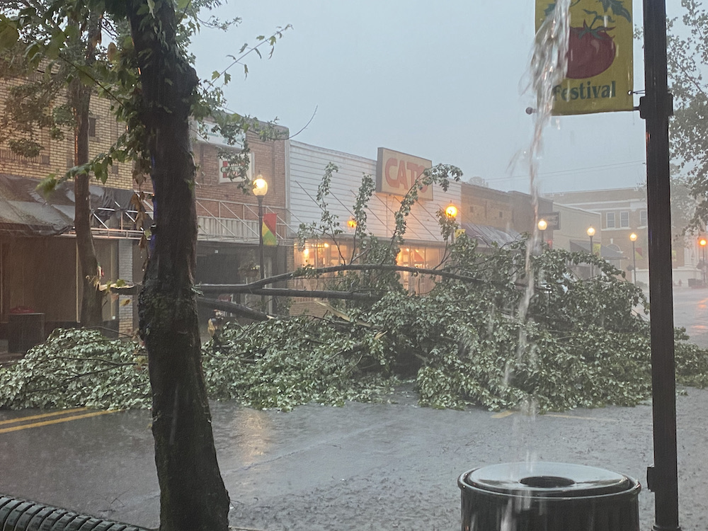 Tree falls and blocks Main Street in Warren during thunderstorm Friday morning