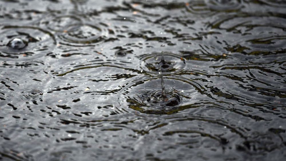 Growers need forecast precipitation to be a ‘slow, soaking rain’