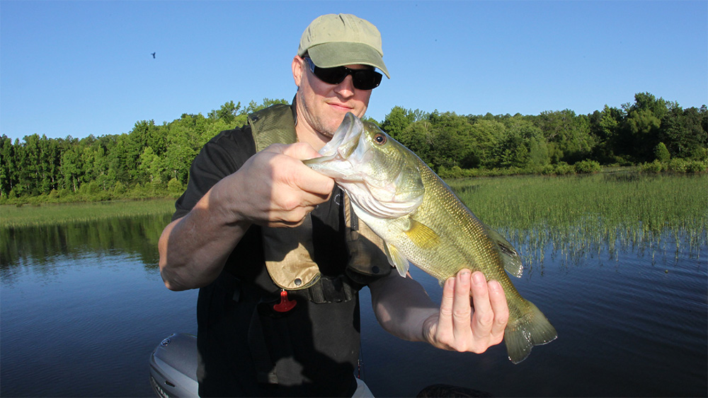 AGFC makes another cast for bass plan input in Central Arkansas