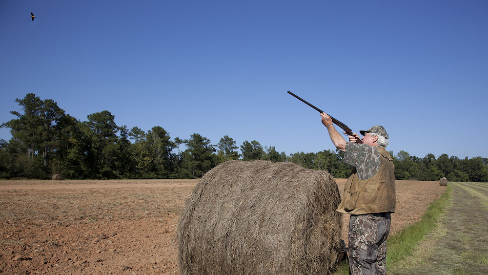Attract doves to your field for opening day, but be mindful of baiting laws