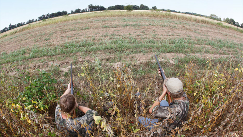 Bradley County showcasing 36 acres for dove hunt