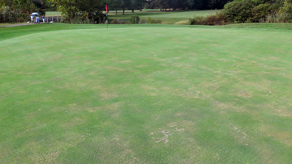 Arkansas turfgrass scientists test more wetting agents to control ‘localized dry spot’
