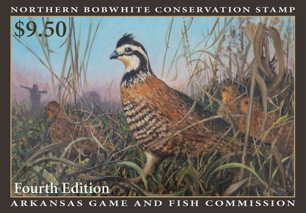 AGFC’s newest quail stamp available; new Quail Program coordinator named
