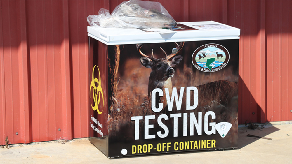 Free CWD testing available for Arkansas deer hunters