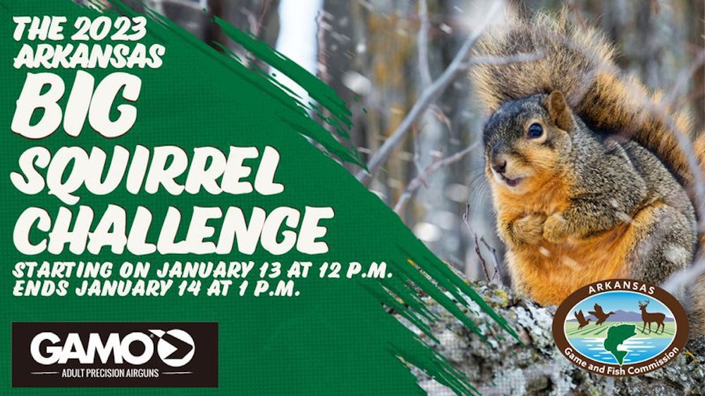 Big Squirrel Challenge returns to Arkansas