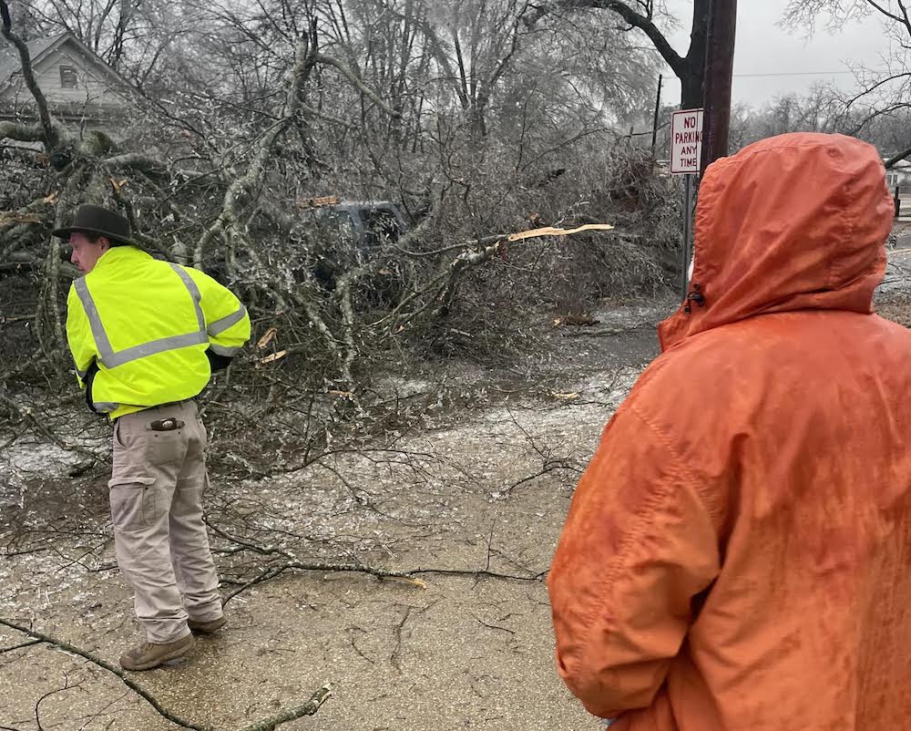 Tree falls on Central Street in Warren, trapping a person in a vehicle