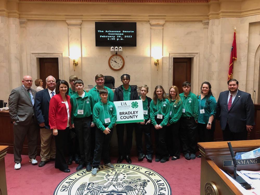 Bradley County 4-H members visit Capitol to see government in action