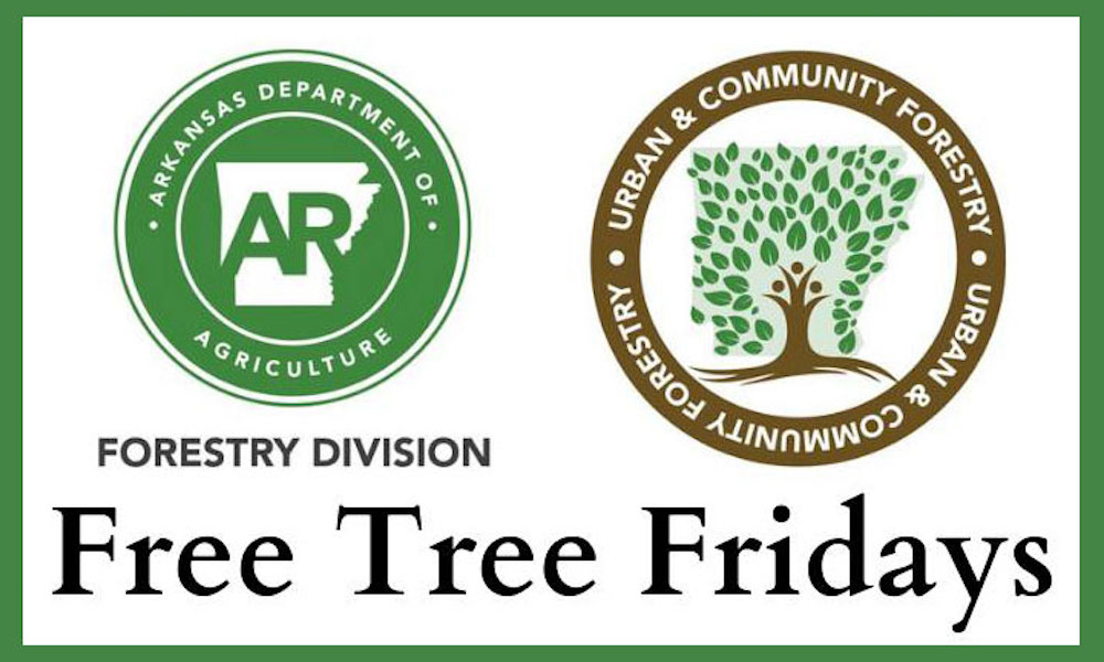 Ag Department hosts “Free Tree Fridays” in recognition of Arbor Day