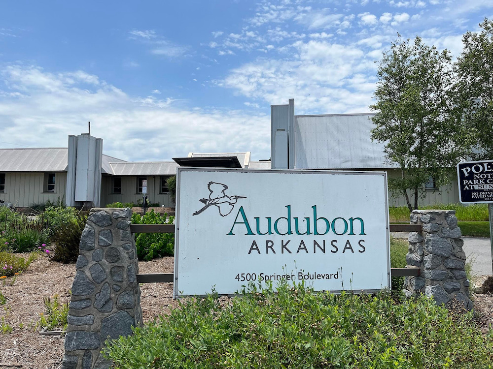 Learn about birds and more at the Little Rock Audubon Center