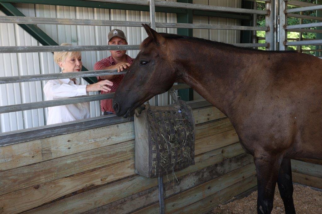 From Stable to Stellar: UAM Horse Barn’s improvements