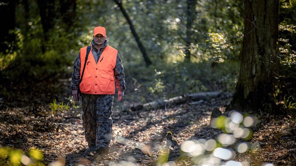 Arkansas hunting injuries hit 13-year low