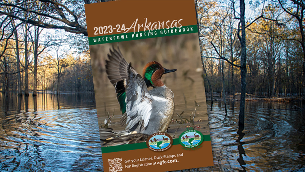 Arkansas Waterfowl Hunting Guidebook available online