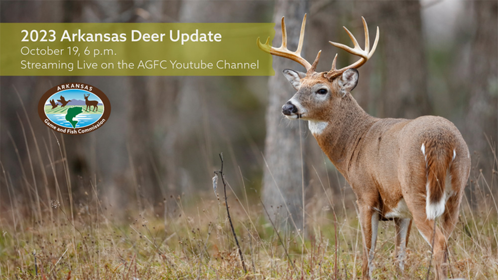 AGFC plans Arkansas Deer Update for hunters