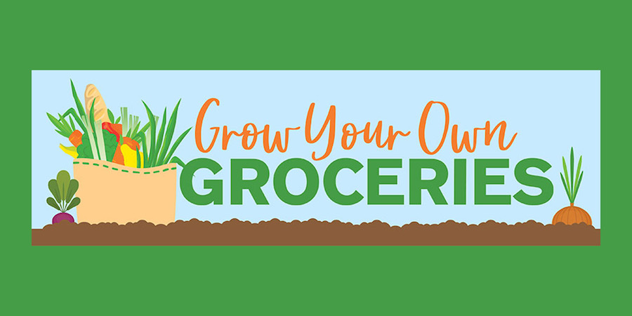 Cooperative Extension Service’s Grow Your Own Groceries series continues in 2024