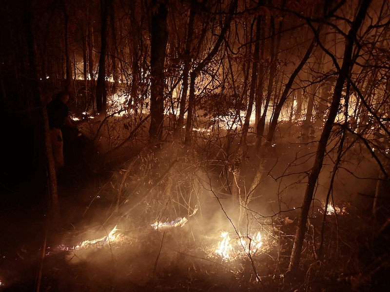 Banks Volunteer Fire Department leads response to woods fire Tuesday night