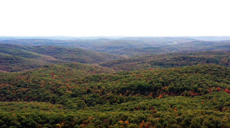 Preserving our past: Celebrating 116 years of the Ozark National Forest