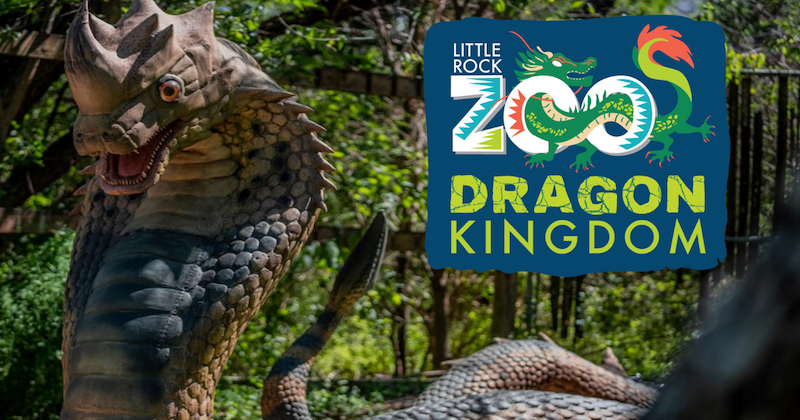 Roar, soar, and explore at the Little Rock Zoo’s Dragon Kingdom exhibition
