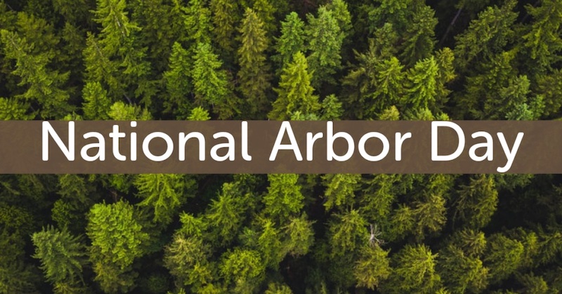 Warren Woman’s Club to host Arbor Day celebration event April 26th